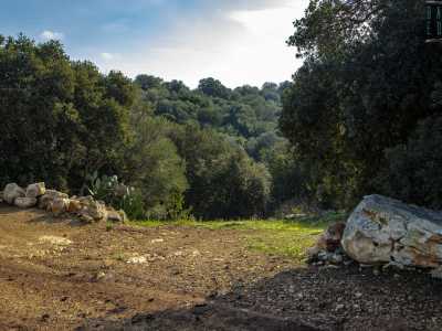 Alla fine del campo un sentiero si apre nel muretto a secco perimetrale per scendere nella Gravina di Monsignore